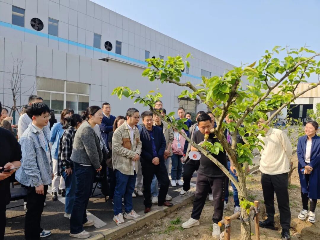 1768809220544937R9M0.jpg 1.jpg